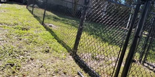 Chain Link Fence Chain Link Fence